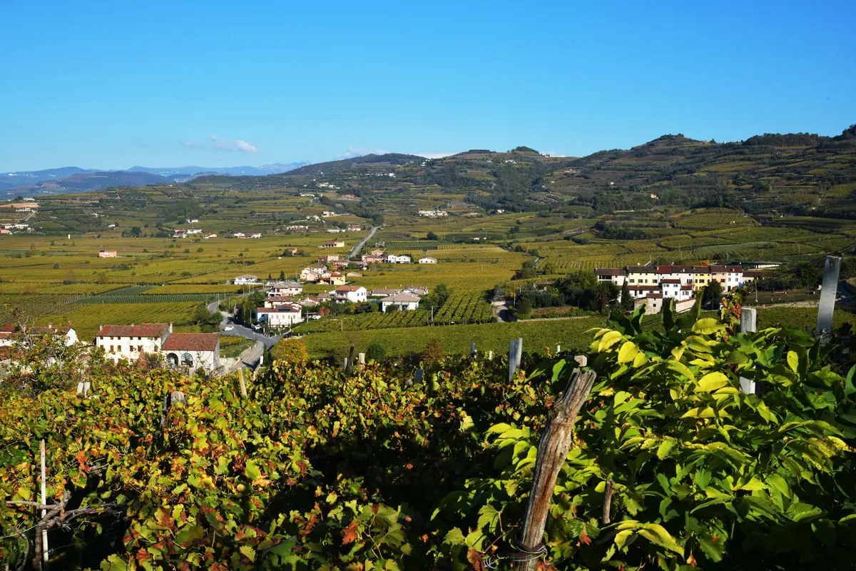 The Prosecco Hills